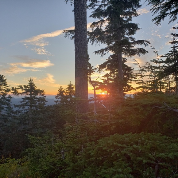 Meet your Posher, Karin - Picture 6 of 6